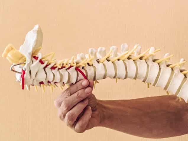 Trucker Awarded Revision of Spinal Fusion Surgery [2017]