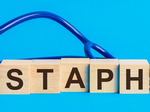 Staph word written on wooden blocks and stethoscope on light blue background