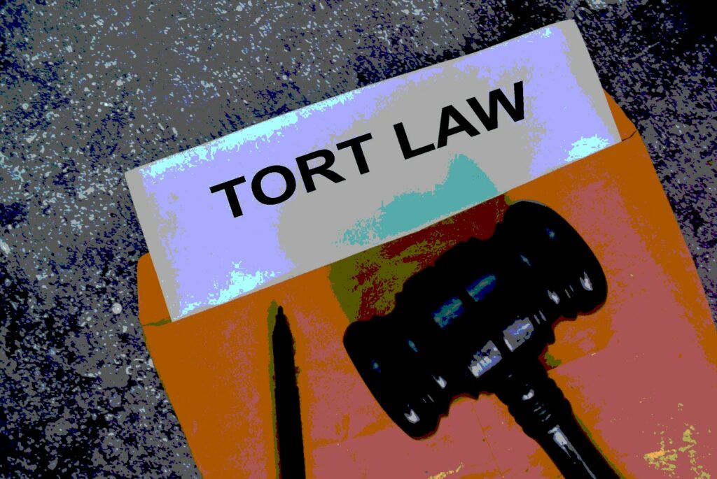Tort Law Definition Ankin Law