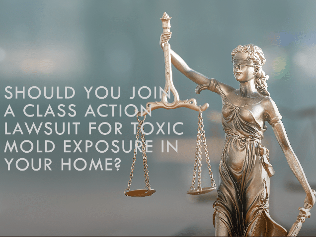 Statue of Lady Justice with scales of justice. Concept of should you join a class action lawsuit for toxic mold exposure in your home
