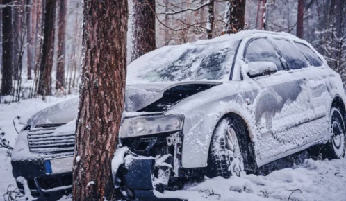 A white car that has crashed head-on into a tree in a snowy forest.