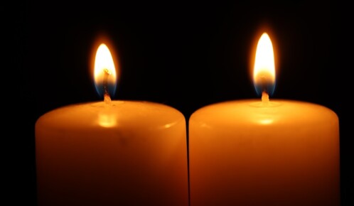 Woman Fatally Struck by Train at Milwaukee Ave