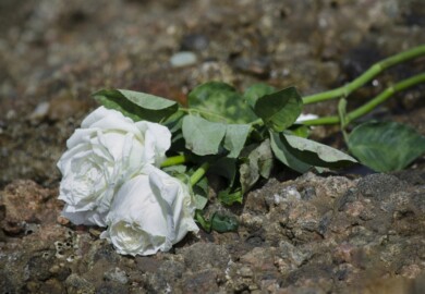 One Killed in Crash on S Central Ave in Forest View, IL